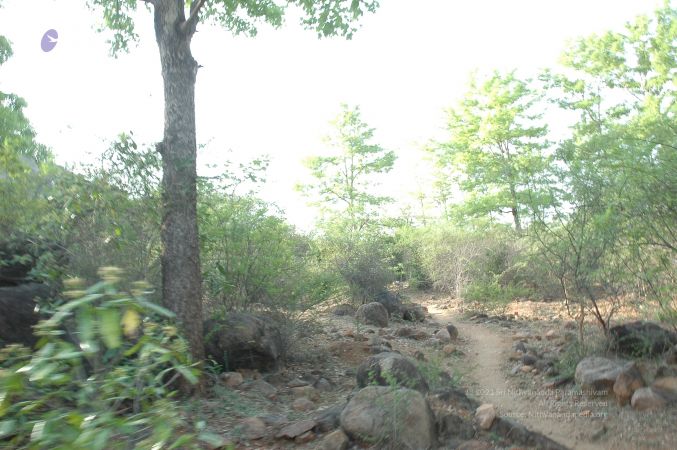 19780101 Inner Girivala Tiruvannamalai 10May2007 26-25.jpg