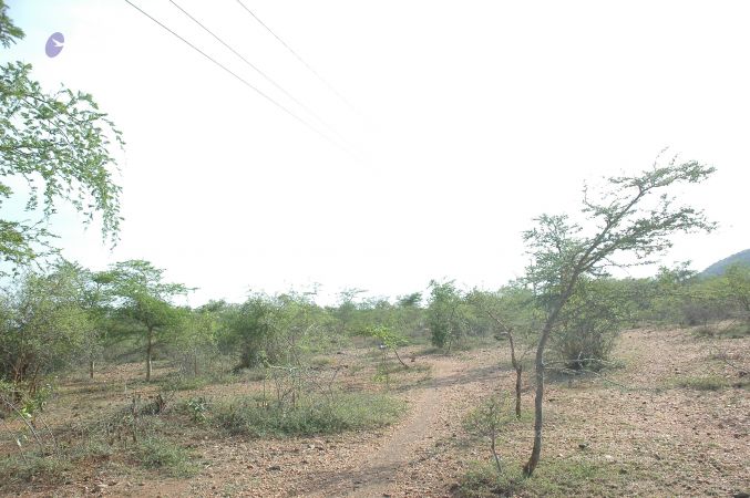 19780101 Inner Girivala Tiruvannamalai 10May2007 260-259.jpg