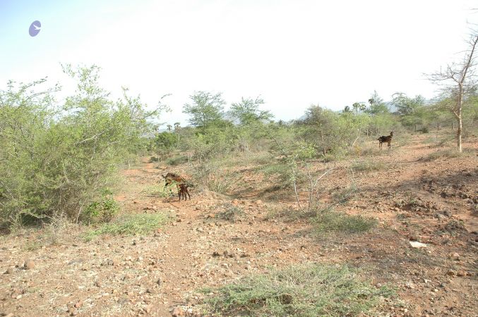 19780101 Inner Girivala Tiruvannamalai 10May2007 267-266.jpg