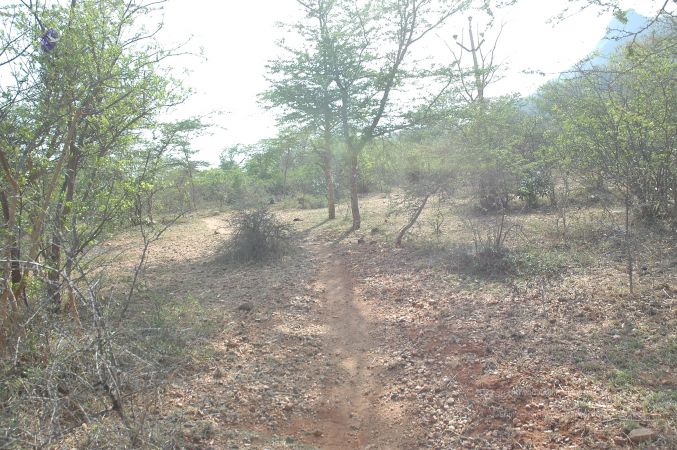 19780101 Inner Girivala Tiruvannamalai 10May2007 270-269.jpg