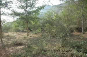 19780101 Inner Girivala Tiruvannamalai 10May2007 292-291.jpg