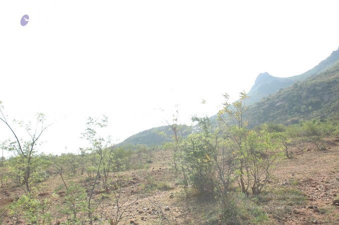 19780101 Inner Girivala Tiruvannamalai 10May2007 317-316.jpg