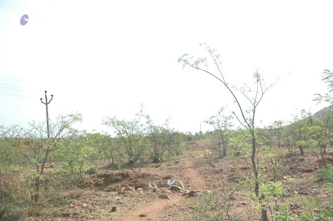 19780101 Inner Girivala Tiruvannamalai 10May2007 318-317.jpg