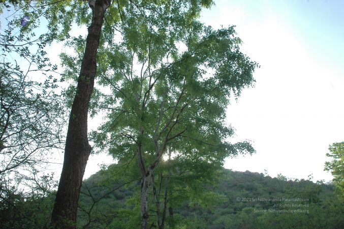 19780101 Inner Girivala Tiruvannamalai 10May2007 32-31.jpg