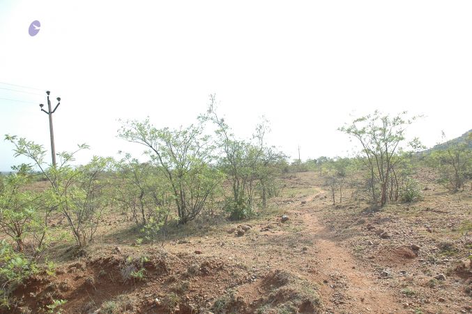 19780101 Inner Girivala Tiruvannamalai 10May2007 320-319.jpg