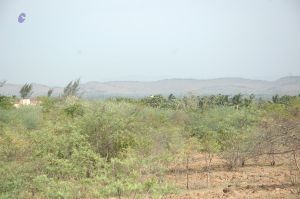 19780101 Inner Girivala Tiruvannamalai 10May2007 327-326.jpg