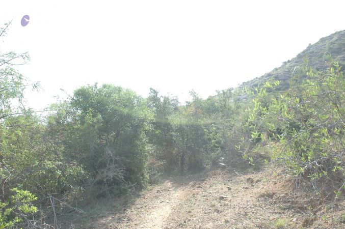 19780101 Inner Girivala Tiruvannamalai 10May2007 345-344.jpg