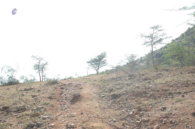 19780101 Inner Girivala Tiruvannamalai 10May2007 350-349.jpg