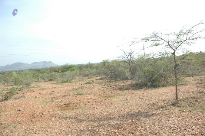 19780101 Inner Girivala Tiruvannamalai 10May2007 353-352.jpg