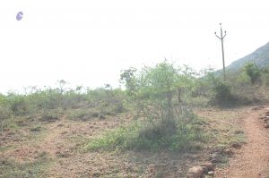 19780101 Inner Girivala Tiruvannamalai 10May2007 357-356.jpg