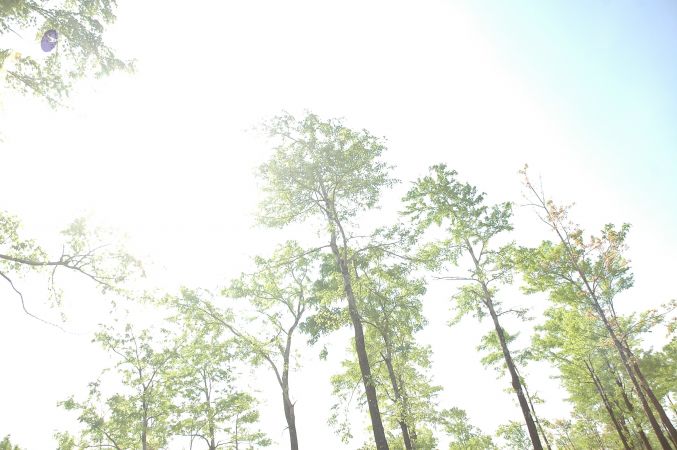 19780101 Inner Girivala Tiruvannamalai 10May2007 388-387.jpg