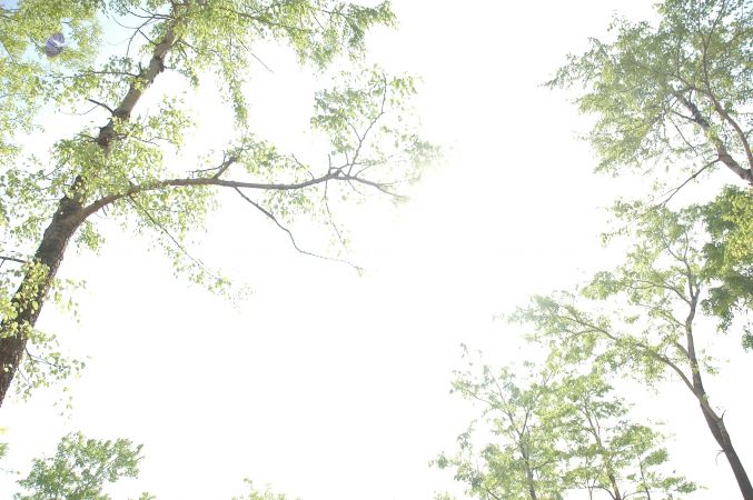 19780101 Inner Girivala Tiruvannamalai 10May2007 389-388.jpg