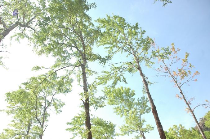 19780101 Inner Girivala Tiruvannamalai 10May2007 393-392.jpg