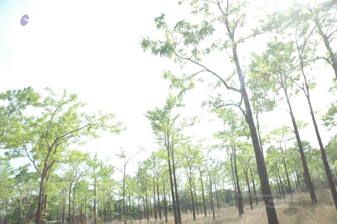 19780101 Inner Girivala Tiruvannamalai 10May2007 394-393.jpg