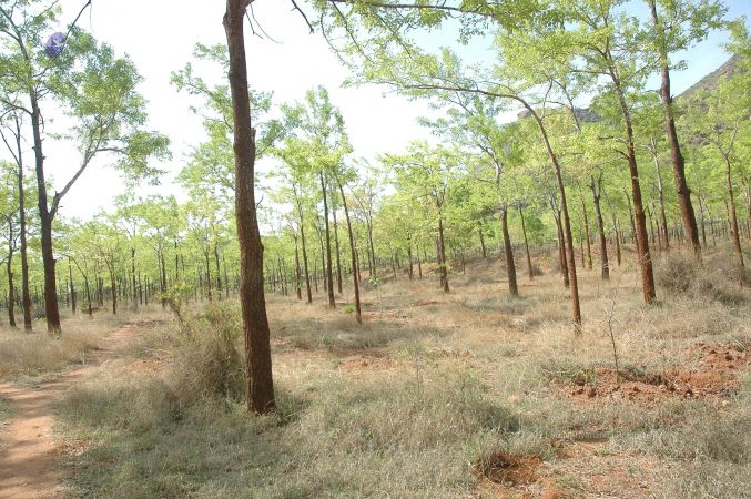 19780101 Inner Girivala Tiruvannamalai 10May2007 405-404.jpg