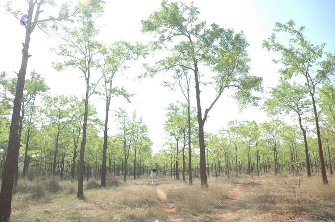 19780101 Inner Girivala Tiruvannamalai 10May2007 407-406.jpg