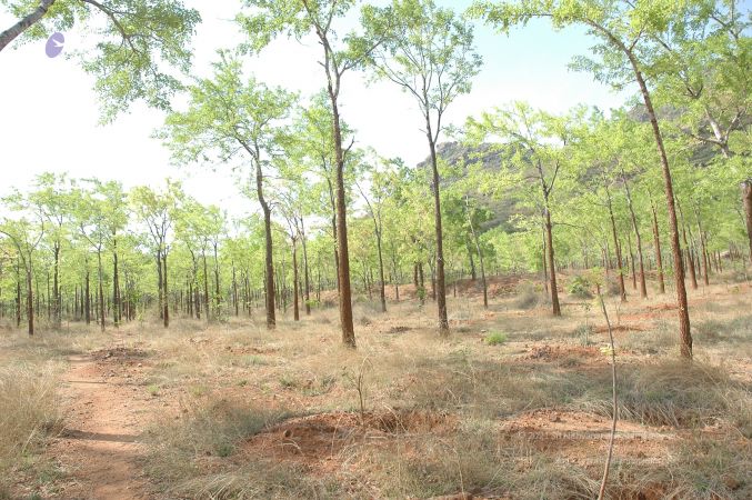 19780101 Inner Girivala Tiruvannamalai 10May2007 410-409.jpg