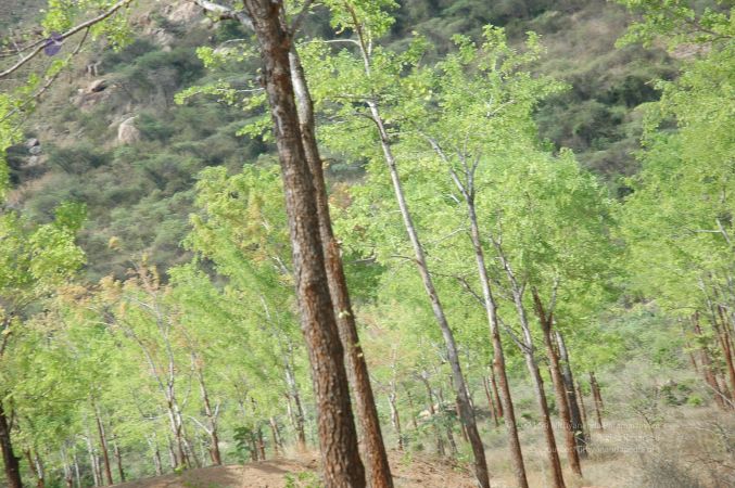 19780101 Inner Girivala Tiruvannamalai 10May2007 413-412.jpg