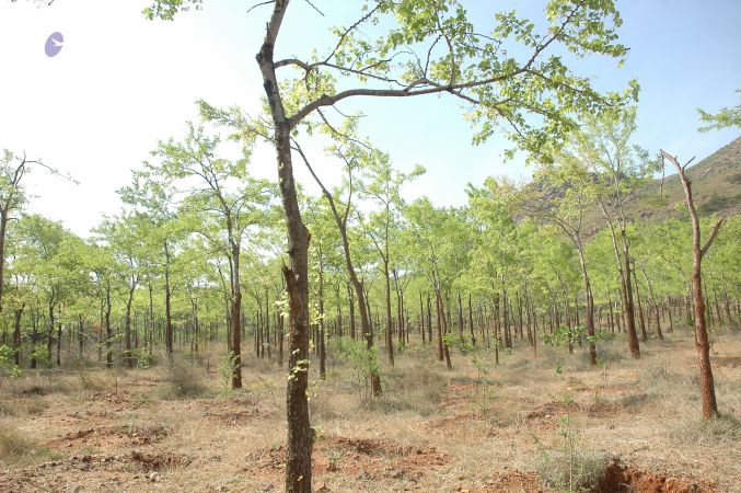 19780101 Inner Girivala Tiruvannamalai 10May2007 418-417.jpg