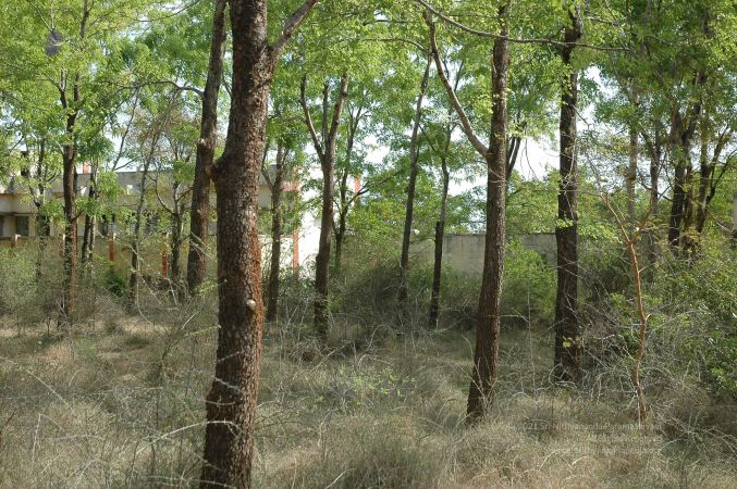 19780101 Inner Girivala Tiruvannamalai 10May2007 424-423.jpg