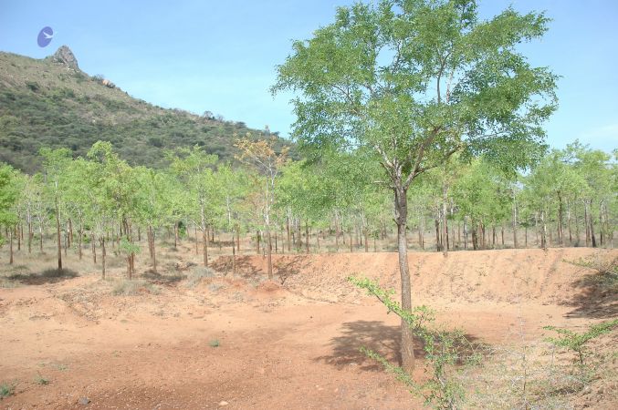 19780101 Inner Girivala Tiruvannamalai 10May2007 430-429.jpg