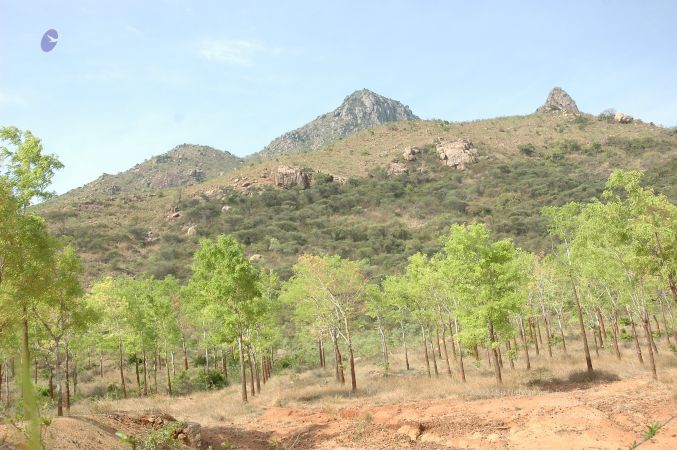 19780101 Inner Girivala Tiruvannamalai 10May2007 437-436.jpg