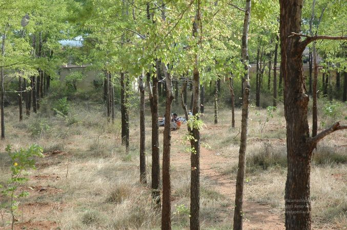 19780101 Inner Girivala Tiruvannamalai 10May2007 448-447.jpg