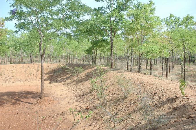 19780101 Inner Girivala Tiruvannamalai 10May2007 453-452.jpg