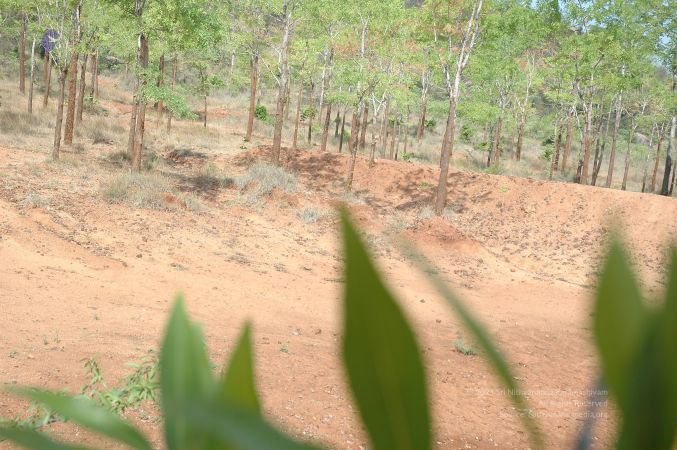 19780101 Inner Girivala Tiruvannamalai 10May2007 460-459.jpg