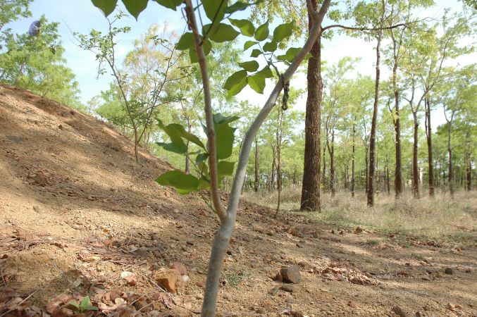 19780101 Inner Girivala Tiruvannamalai 10May2007 479-478.jpg