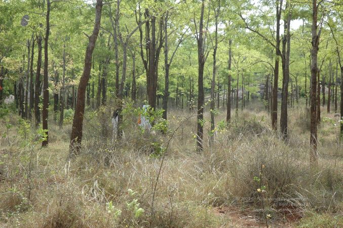 19780101 Inner Girivala Tiruvannamalai 10May2007 481-480.jpg
