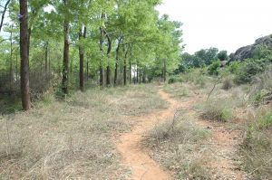 19780101 Inner Girivala Tiruvannamalai 10May2007 492-491.jpg
