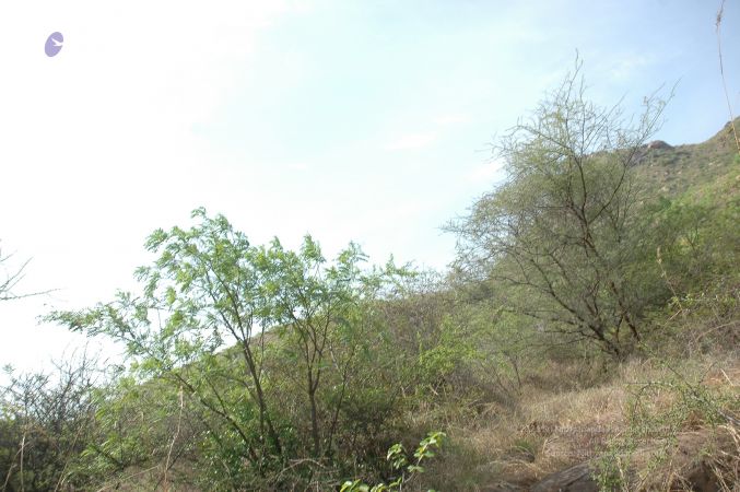 19780101 Inner Girivala Tiruvannamalai 10May2007 511-510.jpg