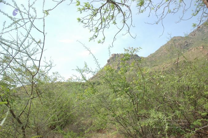 19780101 Inner Girivala Tiruvannamalai 10May2007 514-513.jpg