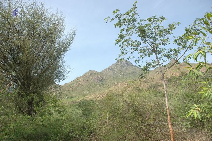 19780101 Inner Girivala Tiruvannamalai 10May2007 521-520.jpg