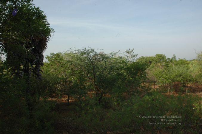 19780101 Inner Girivala Tiruvannamalai 10May2007 58-57.jpg