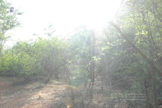 19780101 Inner Girivala Tiruvannamalai 10May2007 63-62.jpg