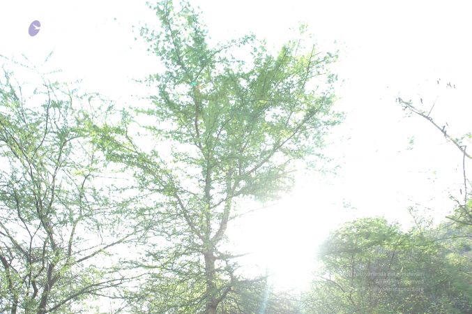 19780101 Inner Girivala Tiruvannamalai 10May2007 73-72.jpg