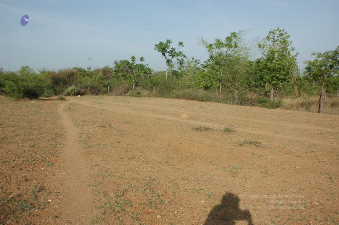 19780101 Inner Girivala Tiruvannamalai 10May2007 80-79.jpg