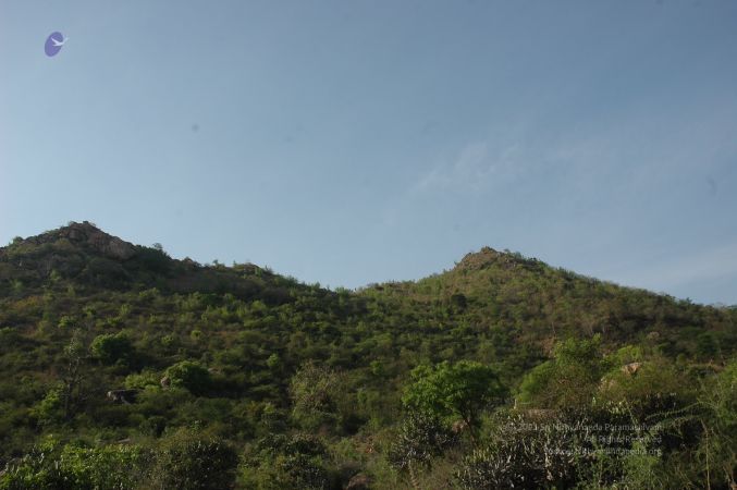 19780101 Inner Girivala Tiruvannamalai 10May2007 93-92.jpg