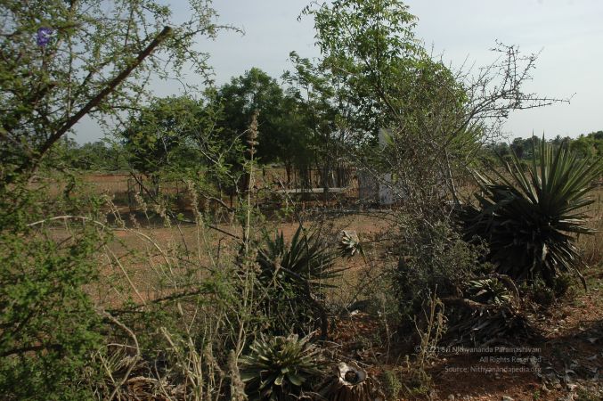 19780101 Inner Girivala Tiruvannamalai 10May2007 95-94.jpg