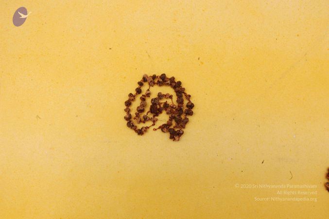 19780101 Photo 102 1b7Qm2noYgnlvRp6IFVfoWgTwLrrhSSUB.jpg