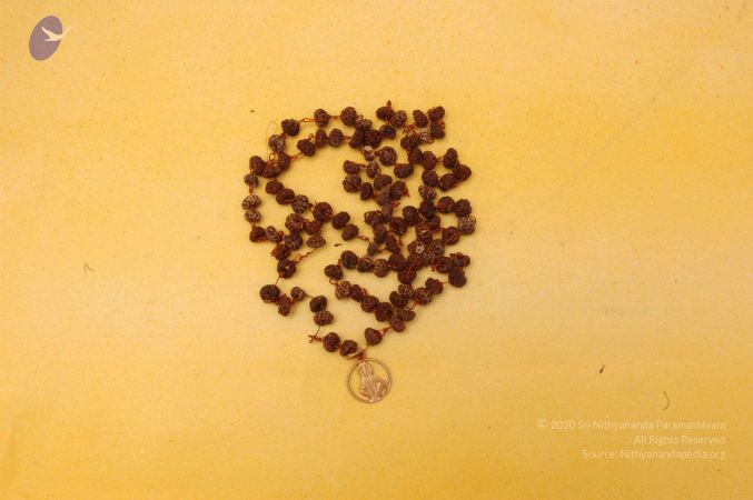 19780101 Photo 106 1CgxIzuXsJhnPnzGHUPMQMMCqtqCsbDL .jpg