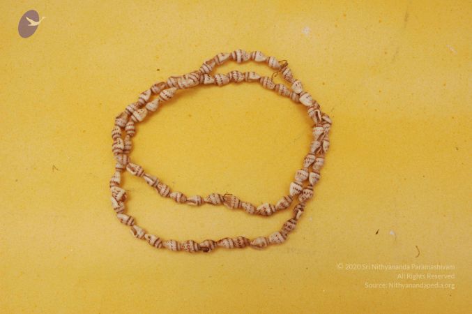 19780101 Photo 110 1qzyLimbrgQQAxMYTwNOcH3YvqRt6VlkI.jpg