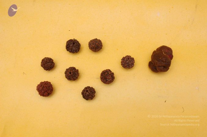 19780101 Photo 112 1C-EVMVMVEfDVgPNQ18nH4JbR8c Tz1O4.jpg