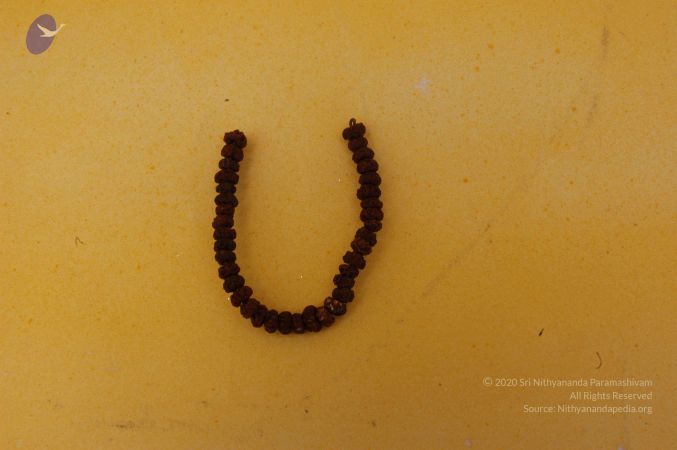 19780101 Photo 115 15alMxcJ-KG-wy4AZ67LhyetkE0FGp95y.jpg