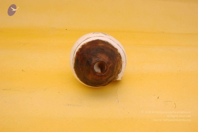 19780101 Photo 204 1-g7rOFNhHcVMIRyth2L4xhA8GOw TCil.jpg