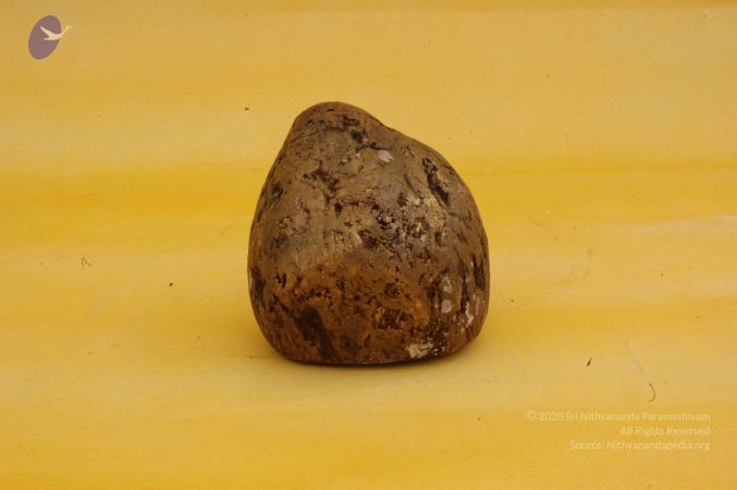 19780101 Photo 40 1syGqJ7H1 tXaA8yRXfcx3ozF YyQcFrD.jpg