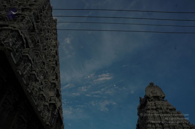 1989-GANESHA TiruvannamalaiTemple BanyanTreeGaneshaArea Nov2006 17-17.jpg