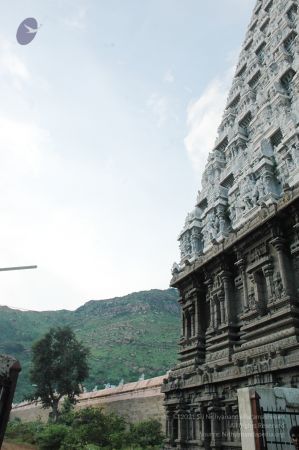 1989-GANESHA TiruvannamalaiTemple BanyanTreeGaneshaArea Nov2006 24-24.jpg
